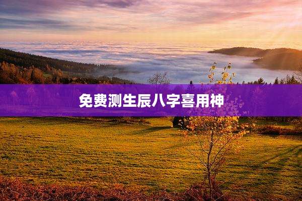 免费测生辰八字喜用神