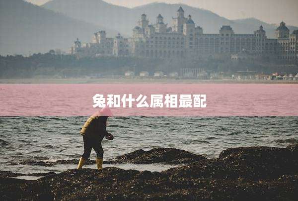 兔和什么属相最配