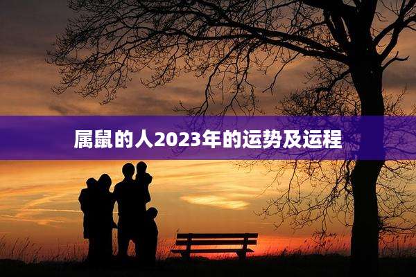 属鼠的人2023年的运势及运程