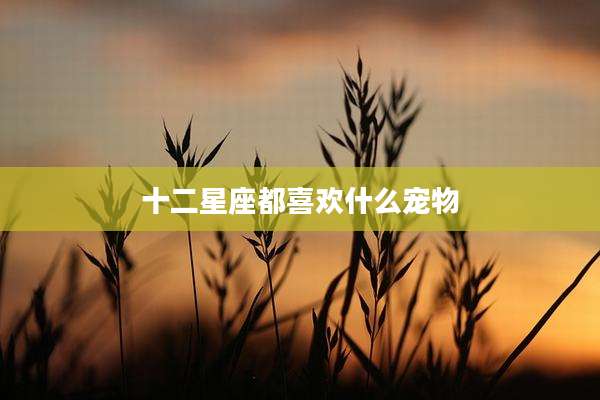 十二星座都喜欢什么宠物