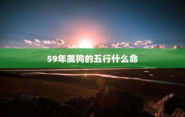 59年属狗的五行什么命