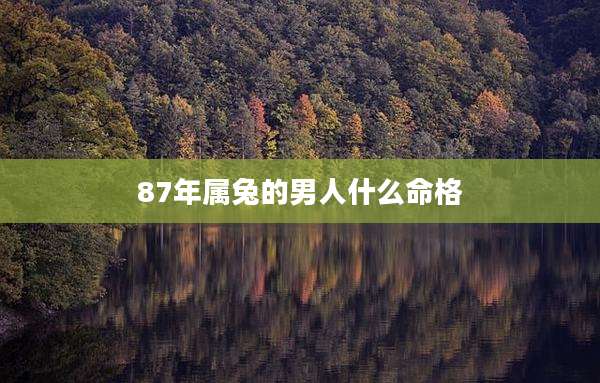 87年属兔的男人什么命格