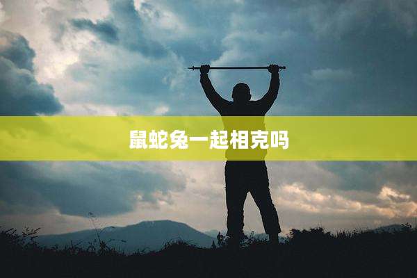 鼠蛇兔一起相克吗