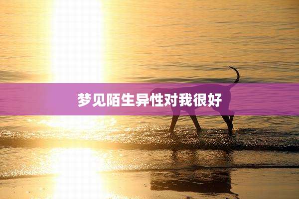 梦见陌生异性对我很好