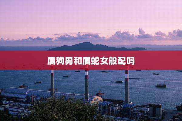 属狗男和属蛇女般配吗