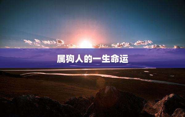 属狗人的一生命运