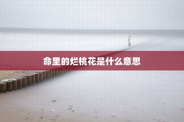 命里的烂桃花是什么意思
