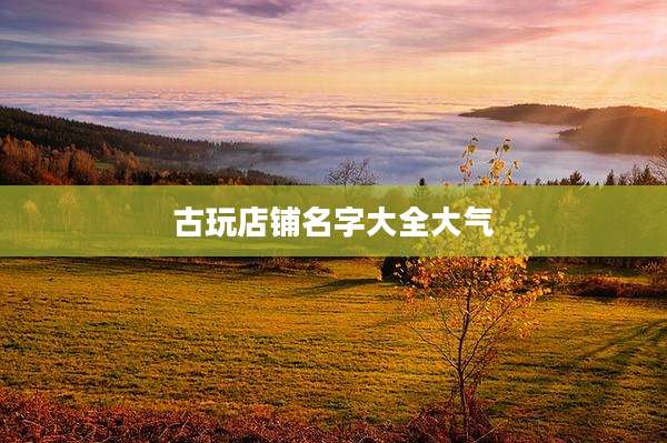 古玩店铺名字大全大气