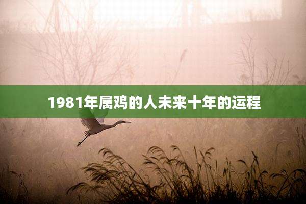 1981年属鸡的人未来十年的运程