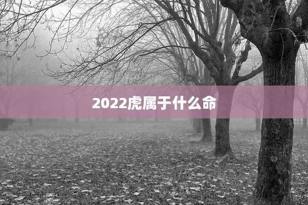 2022虎属于什么命