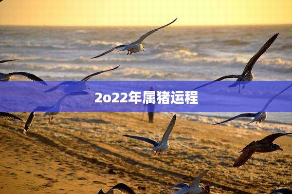 2o22年属猪运程
