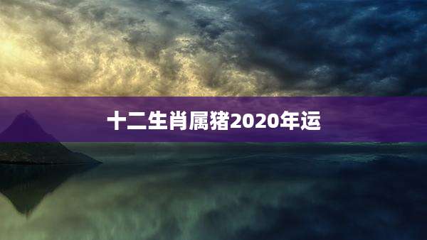 十二生肖属猪2020年运