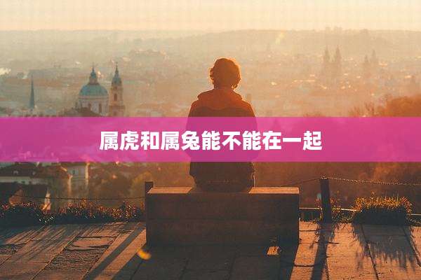 属虎和属兔能不能在一起
