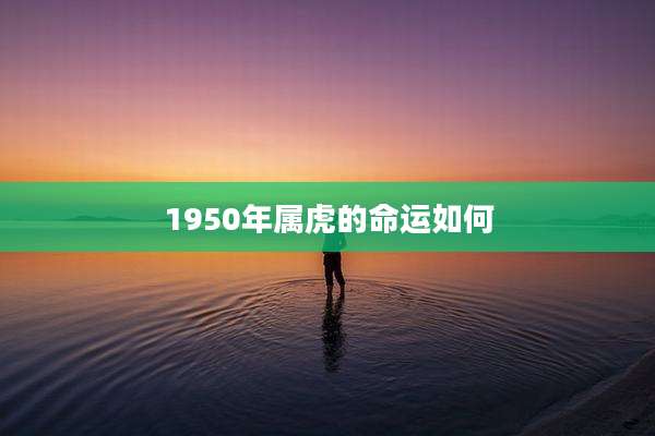 1950年属虎的命运如何