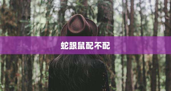 蛇跟鼠配不配