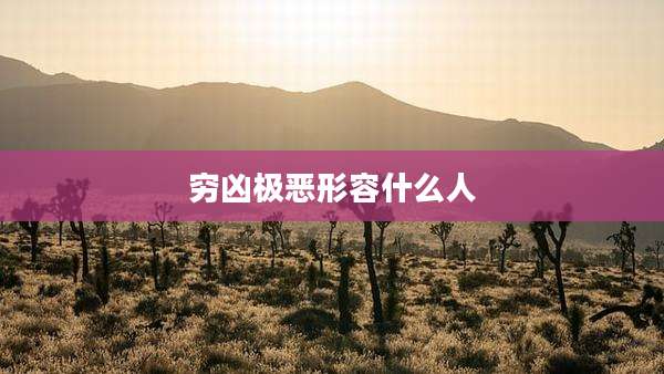 穷凶极恶形容什么人