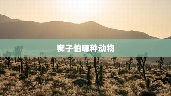 狮子怕哪种动物