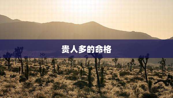 贵人多的命格