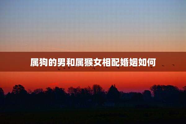 属狗的男和属猴女相配婚姻如何