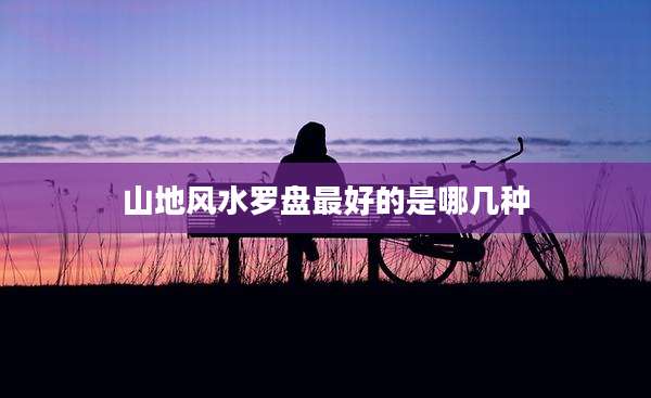 山地风水罗盘最好的是哪几种