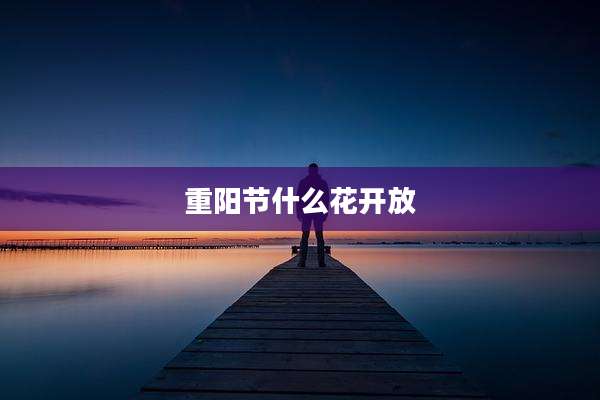 重阳节什么花开放