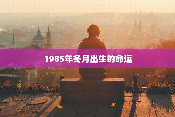 1985年冬月出生的命运