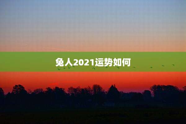兔人2021运势如何