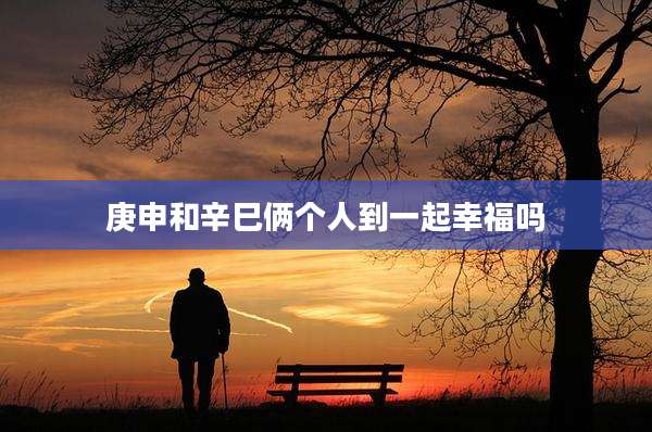 庚申和辛巳俩个人到一起幸福吗