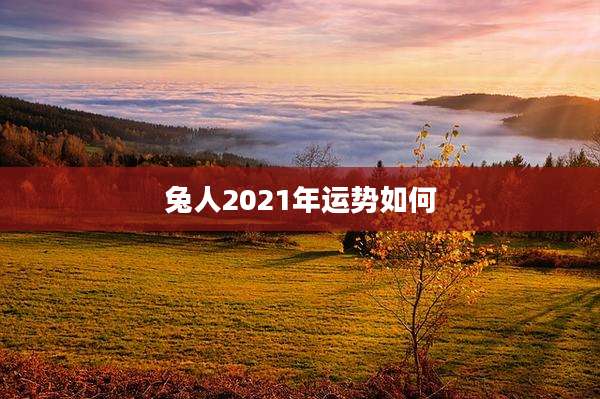 兔人2021年运势如何