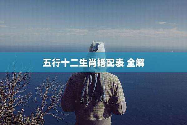 五行十二生肖婚配表 全解