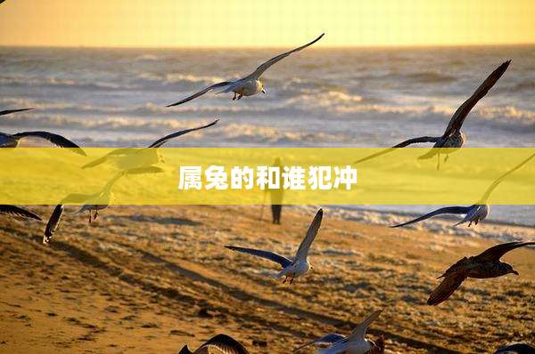 属兔的和谁犯冲
