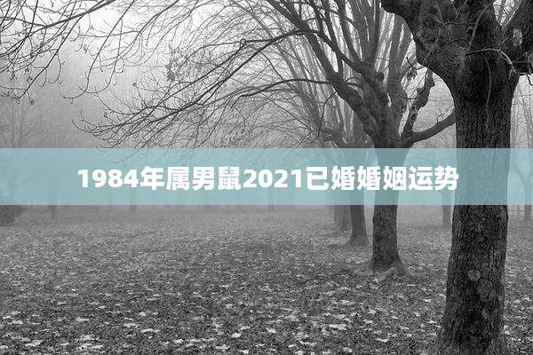 1984年属男鼠2021已婚婚姻运势