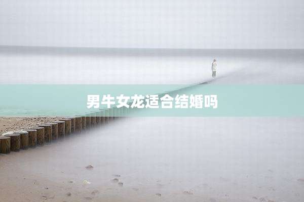 男牛女龙适合结婚吗