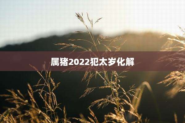 属猪2022犯太岁化解