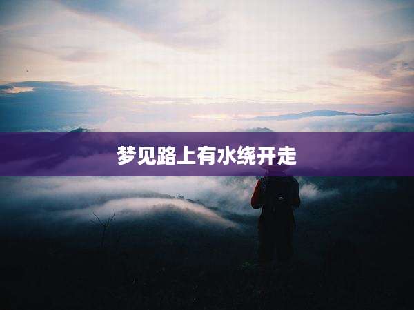梦见路上有水绕开走