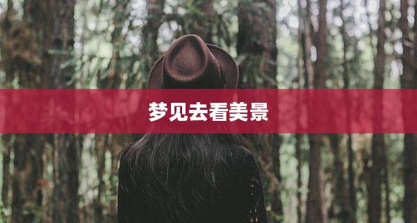 梦见去看美景