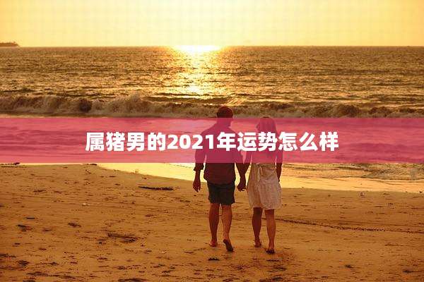 属猪男的2021年运势怎么样