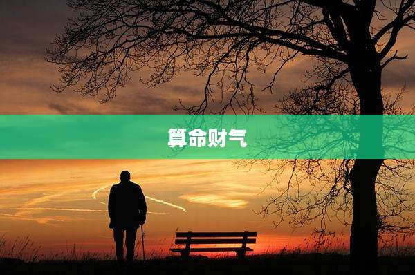 算命财气