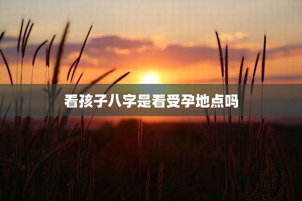 看孩子八字是看受孕地点吗