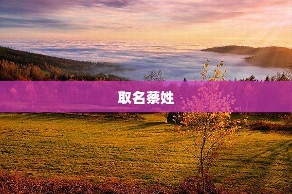取名蔡姓