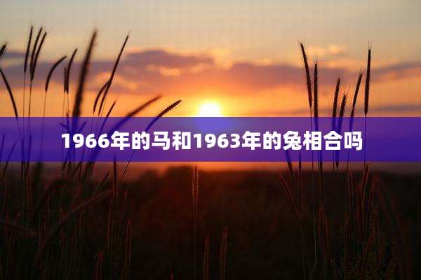 1966年的马和1963年的兔相合吗