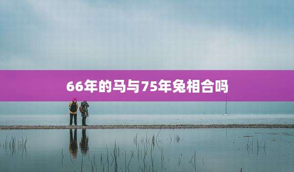 66年的马与75年兔相合吗