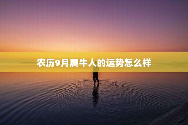 农历9月属牛人的运势怎么样