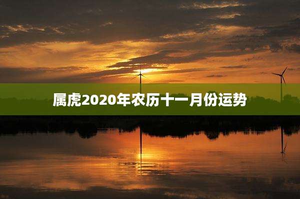 属虎2020年农历十一月份运势