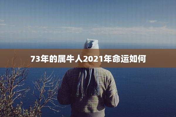 73年的属牛人2021年命运如何