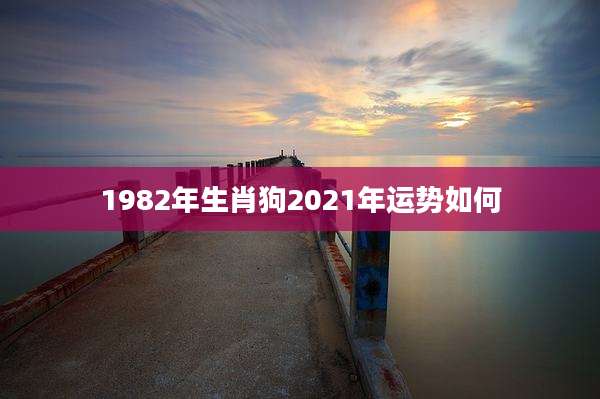 1982年生肖狗2021年运势如何