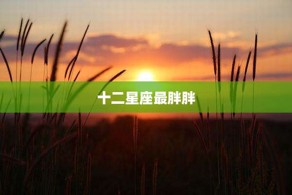 十二星座最胖胖