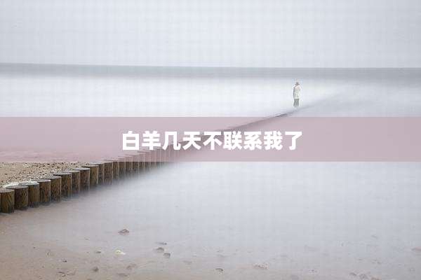 白羊几天不联系我了
