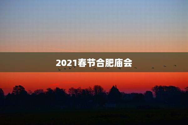 2021春节合肥庙会