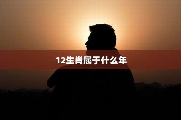 12生肖属于什么年